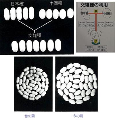 http://sanshi.my.coocan.jp/blog.files/image012.png